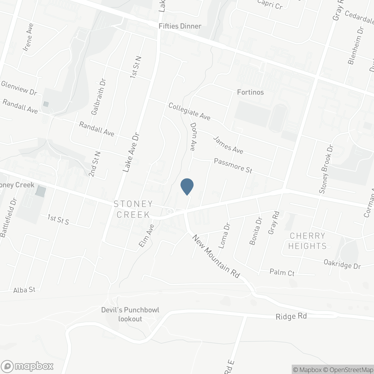 21 ROSEDALE COURT, Hamilton, Ontario L8G 4B1